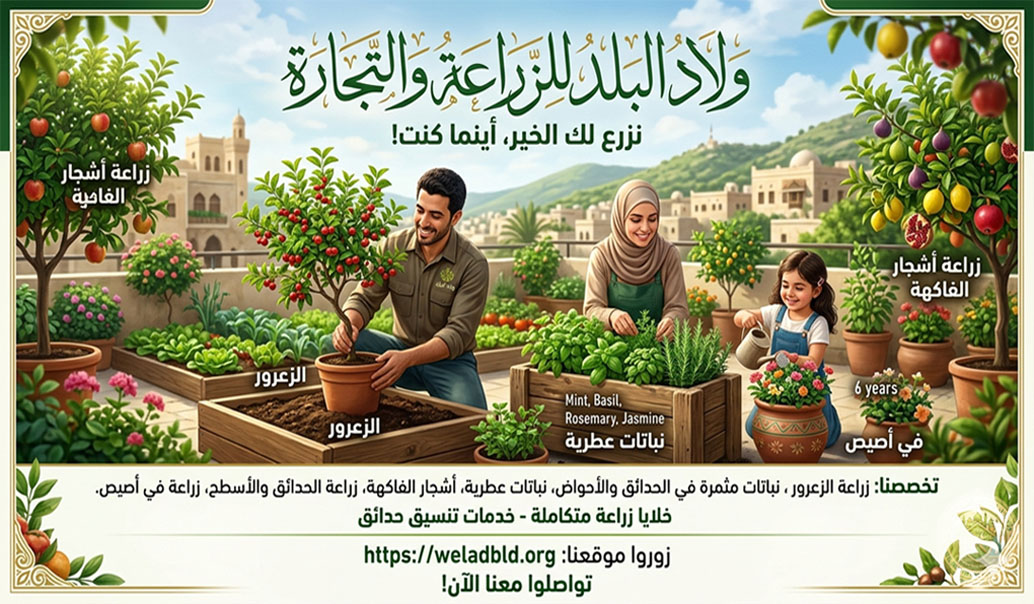 زراعة الزعرور ( النبق / التفاح البري )